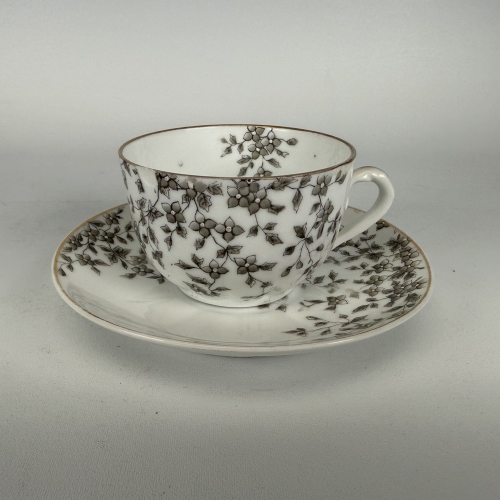 VINTAGE ANTIQUE CARLSBAD AUSTRIA TEA‎ CUP AND SAUCER- READ